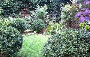 topiary 3
